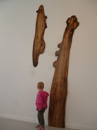 fia and elm panels